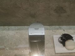 -珠海中海雅高铂尔曼酒店
