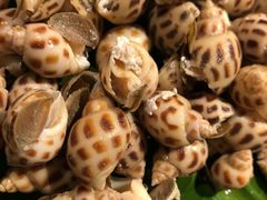 -味餐厅·海鲜·火锅·自助餐