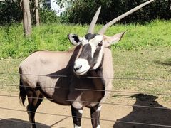 -大连森林动物园