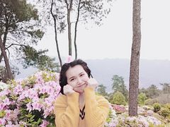 -南山植物园