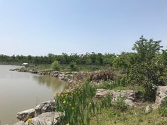 -上海海湾国家森林公园