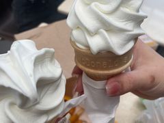 -麦当劳(深圳北站高铁店)