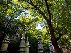 -天津盘山风景名胜区