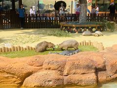 -大连森林动物园