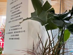 -Blueglass酸奶(财富购物中心店)