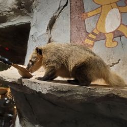 -Zoolung Zoolung动物主题公园(海信广场店)