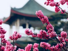 -南山公园