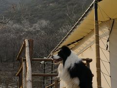 -北京山里寒舍度假酒店
