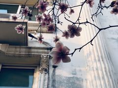 -首都师范大学科德学院