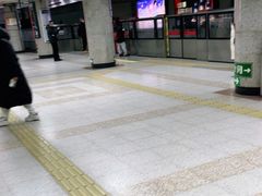 -大望路(地铁站)