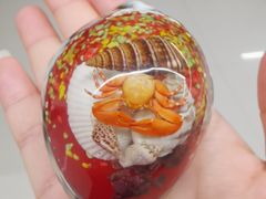 -青岛贝壳博物馆