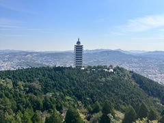 -原山国家森林公园