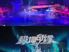 -海合安武汉极地海洋公园