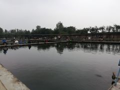 -特种渔场