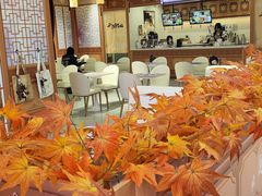 -IPSTAR|潮玩星球(天府广场店)
