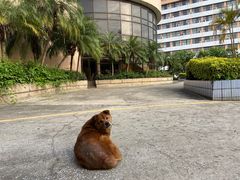 -福建师范大学(仓山校区)