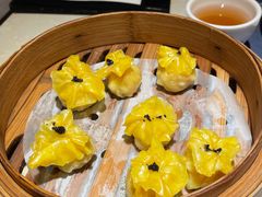 -点都德·毕德寮