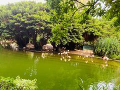 -九龙公园
