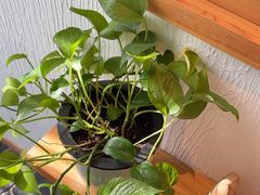 -瓦舍茶馆(聚源路店)