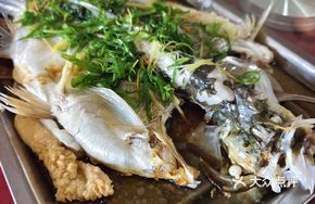 Wang Pao Fish