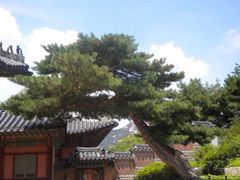 -景福宫