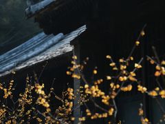 -颐和园