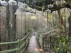 -青青世界