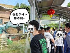 -苏州太湖国家湿地公园