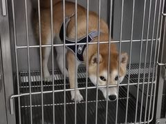 -宠颐生动物医院·小陆分院