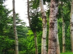 -北京动物园-畅观楼