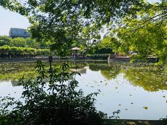 -嘉定紫藤园