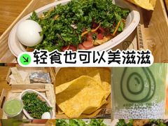 -油梨树 AVOCADO TREE(亮马桥店)