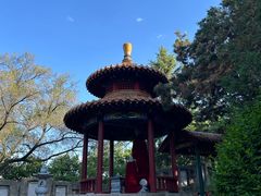 -高尔山公园