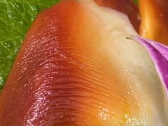-晓寿司·精致料理(绿地店)