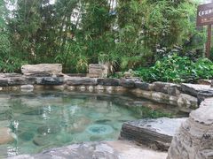 -中家鑫园温泉酒店鑫悦汤泉