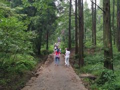 -罗田薄刀峰风景区