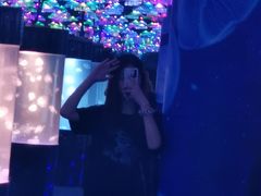 -洛阳龙门海洋馆