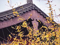 -钱王祠