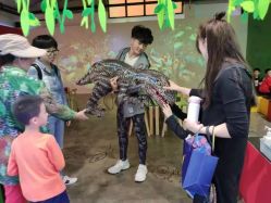 -恐龙探索乐园(磁器口店)