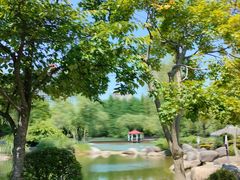 -新虹桥中心花园