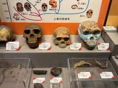 -天津自然博物馆