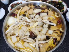 -菌极鲜野生菌火锅店(阳明祠店)