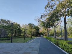 -白石龙音乐公园