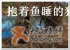 -环球公园