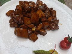 澳洲牛肋肉-大树餐厅(红旗街万达店)