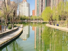 -团结湖公园