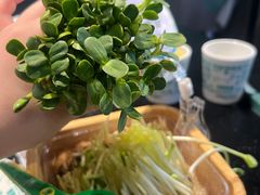 -阳坊涮肉(西直门凯德mall店)
