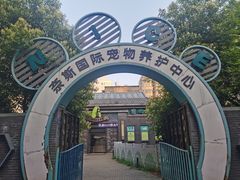 -奈斯宠物医院·核磁CT·异宠专科·内镜(中南店)