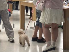 -Apple零售店(成都太古里店)