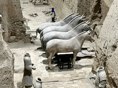 -秦始皇帝陵博物院(兵马俑)
